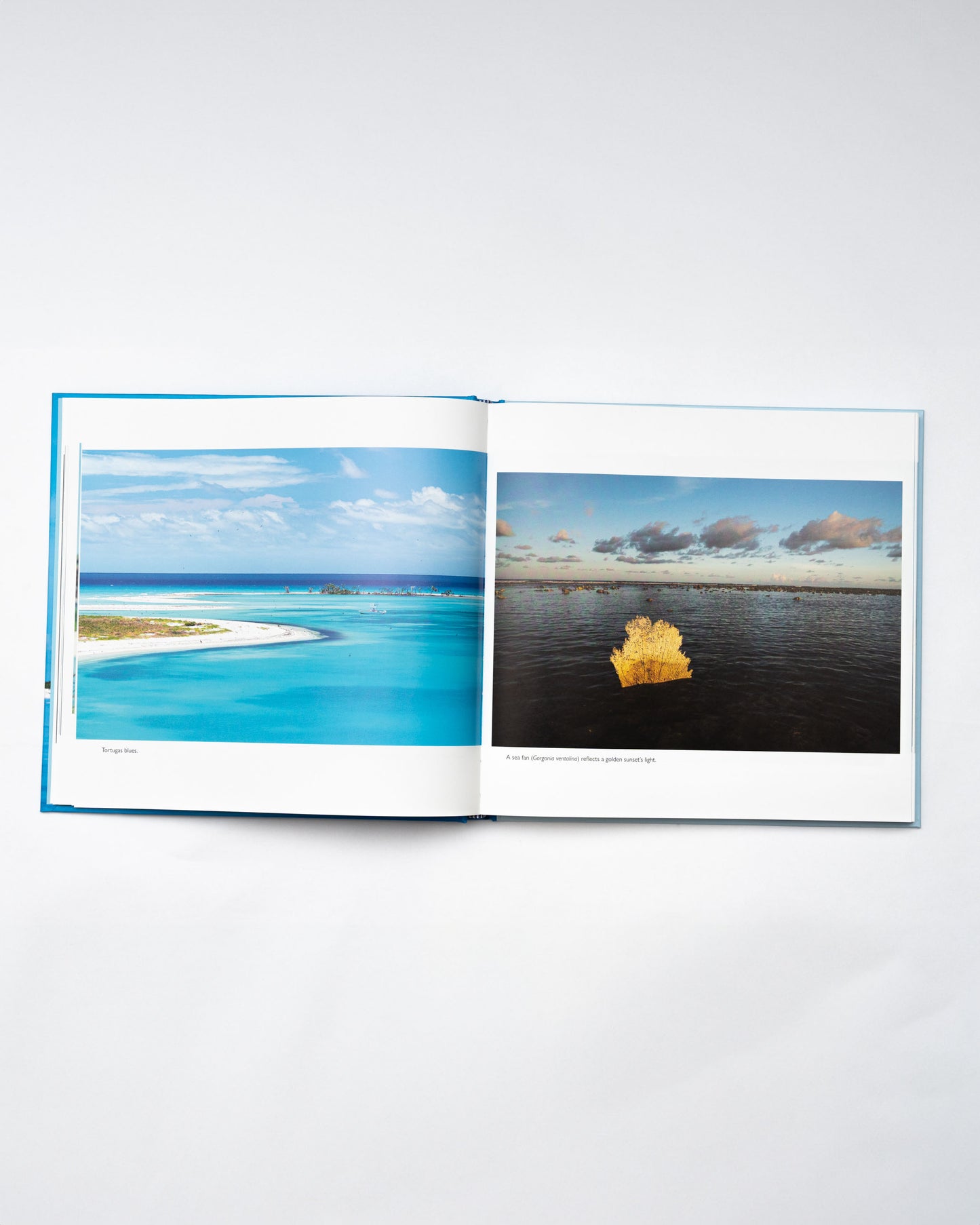 Dry Tortugas: Stronghold of Nature (SIGNED)