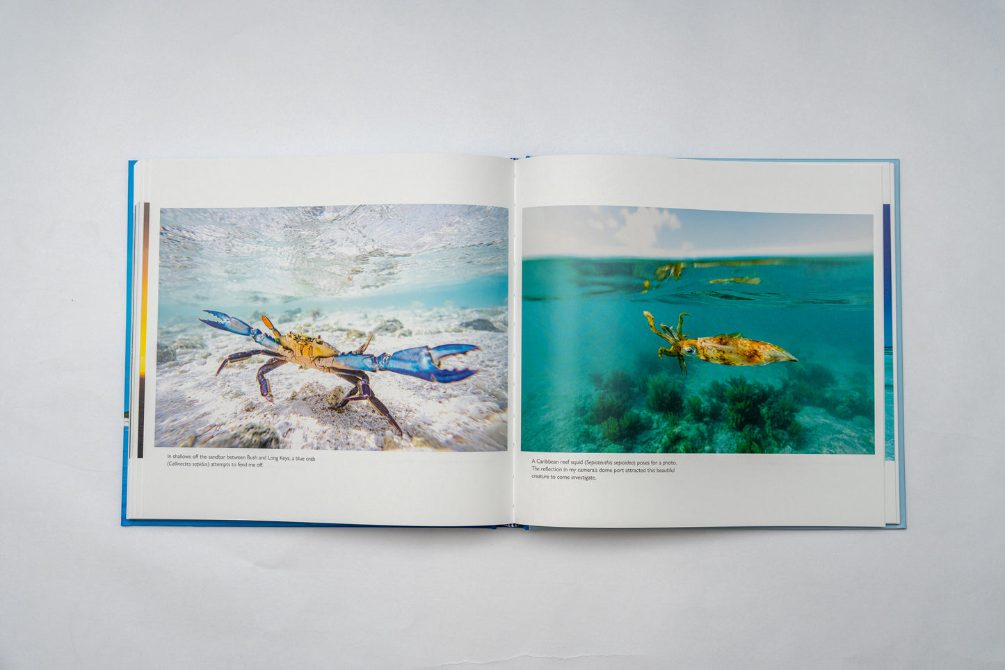 Dry Tortugas: Stronghold of Nature (SIGNED)