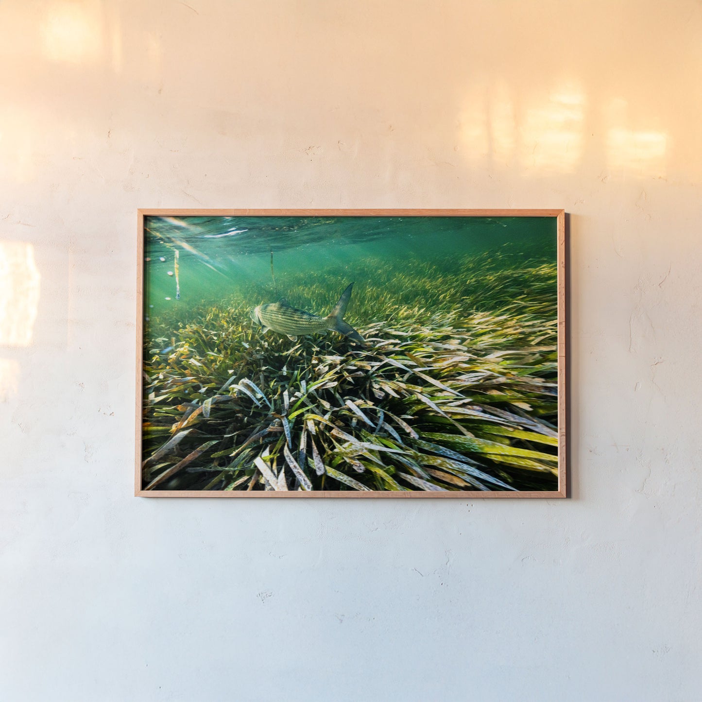 The Bonefish