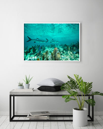 Just Passing Through